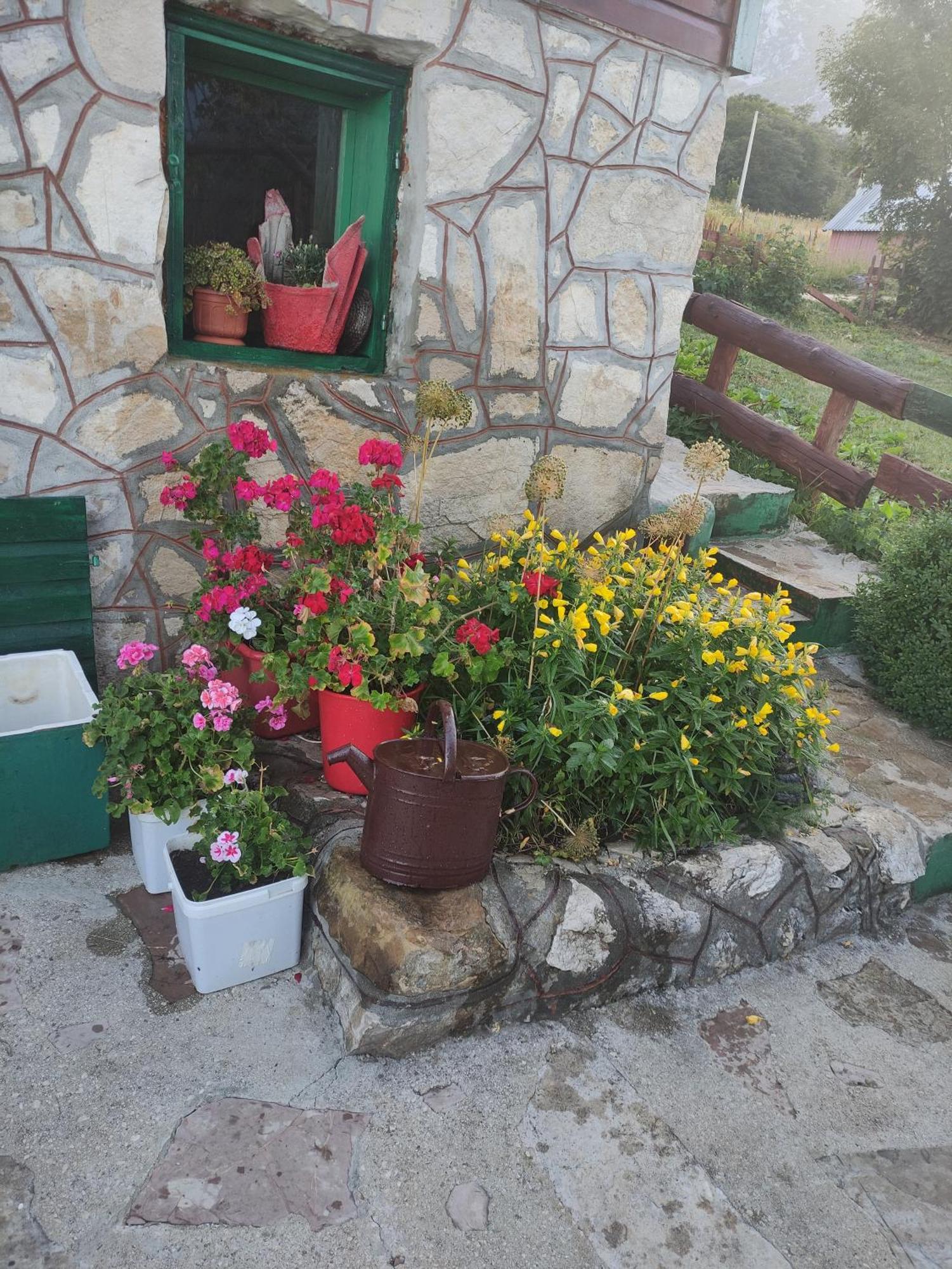 Durmitorska Koliba Sa Kupatilom Villa Zabljak  Phòng bức ảnh